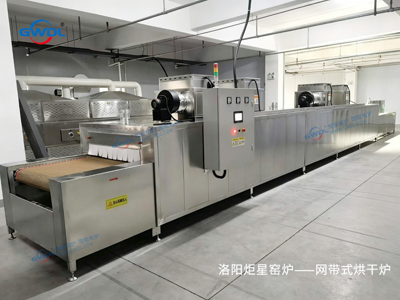  连续式工作型网带式烘干炉
